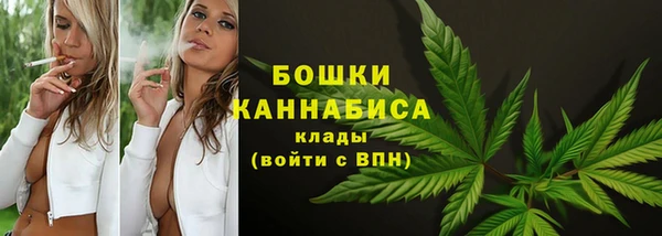 метадон Белокуриха