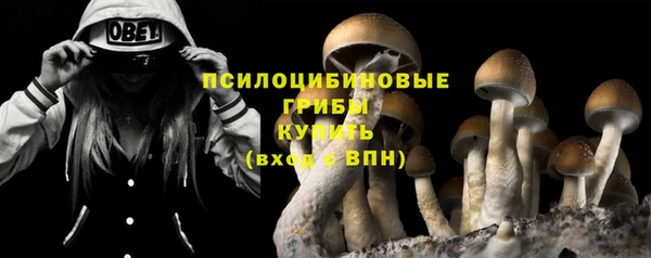 хмурый Строитель